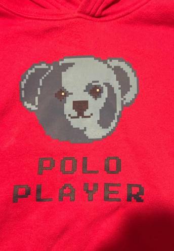 Polo Bear Hoodie