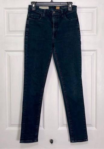 Pilcro and the Letterpress Anthro  superscript high rise skinny jeans sz 27