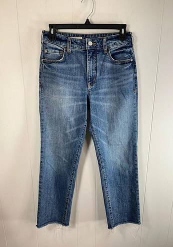 Pilcro  by Anthropologie vintage straight 27 petite blue jeans