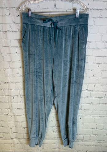 Victoria's Secret EUC Victoria Secret Velour Jogger Size Large