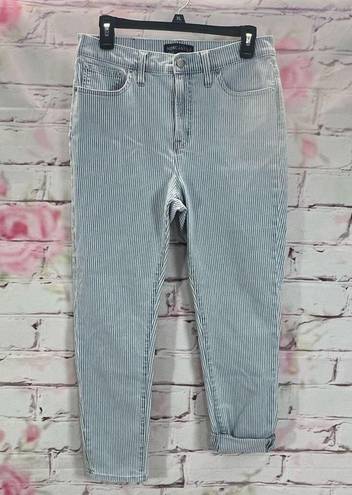 J.Crew  Mercantile Women's High Rise Piper Stripe Skinny Jeans Blue Size 29