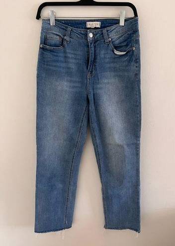 Dry Goods Dry Good’s (Harper) High Rise Straight Jeans