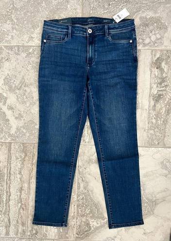 J.Jill  Denim Authentic Fit Slim Ankle Jeans, Neptune Wash Size 10 NWT (Sold Out)