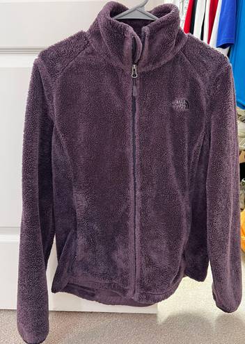 The North Face Purple Jacket