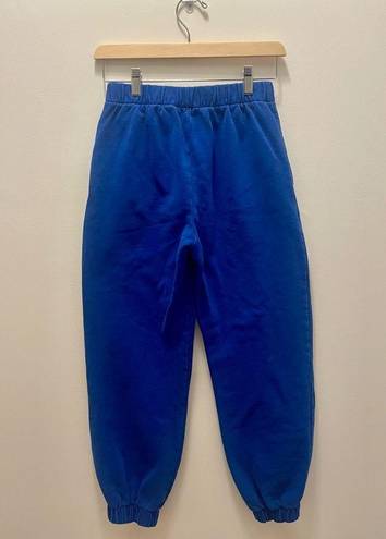 Brandy Melville Blue Sweatpants - one size