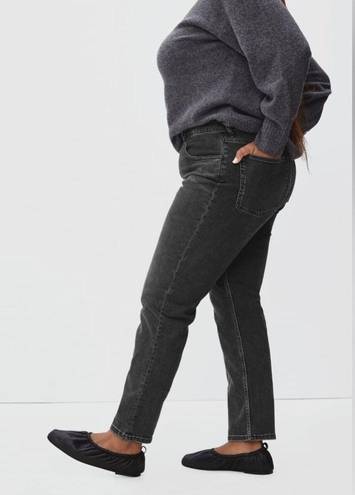 Everlane NWT  The Curvy Cheeky Jean