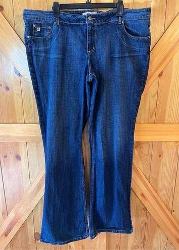 Paris Blues  Jeans Womens Plus 25 Long High Rise Bootcut Dark Wash Stretch (2104)