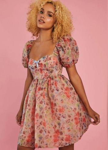 Dolls Kill NWT Sugar Thrillz My Winding Wheel Floral Organza Puff Sleeve Babydoll Dress XL