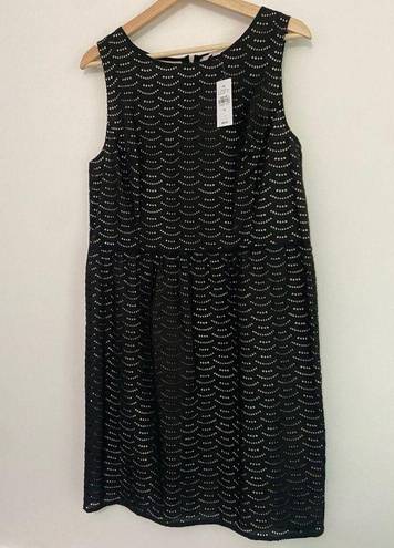 The Loft  Fit and Flare 100% Cotton Knee Length Boat Neck Dress Black Eyelet Size 14