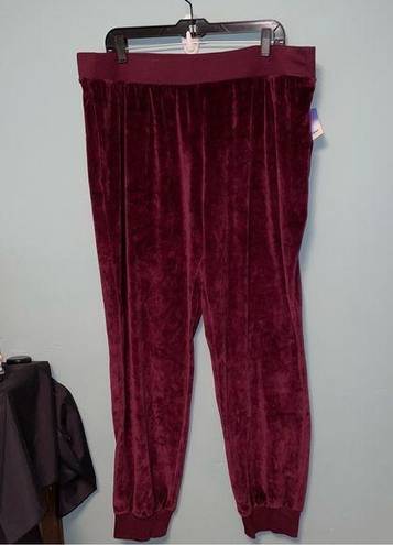 Abound  Burgundy Velour Joggers with Pockets Size 1X