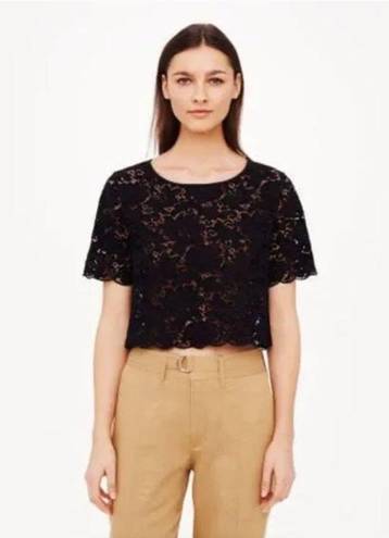 Club Monaco  Black Lace Cropped Top size small