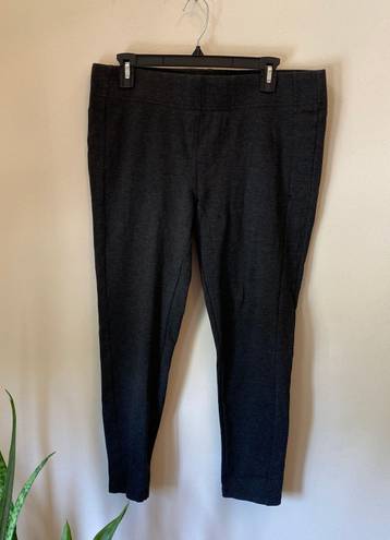 The Loft  Casual Leggings Size Large 