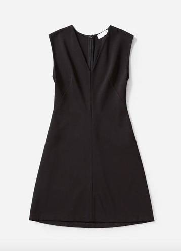 Everlane  The Sleeveless V-Neck Flare Dress Black Womens 4