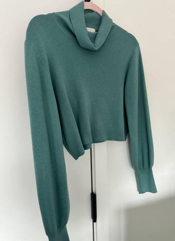 Aritzia turtleneck sweater