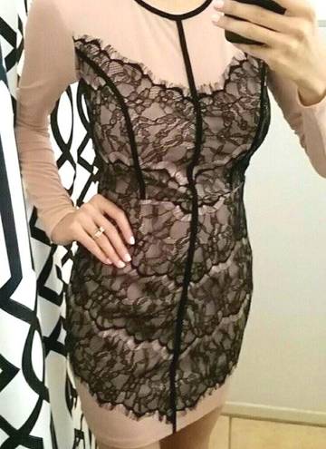 ANGL Lace Mesh Dress