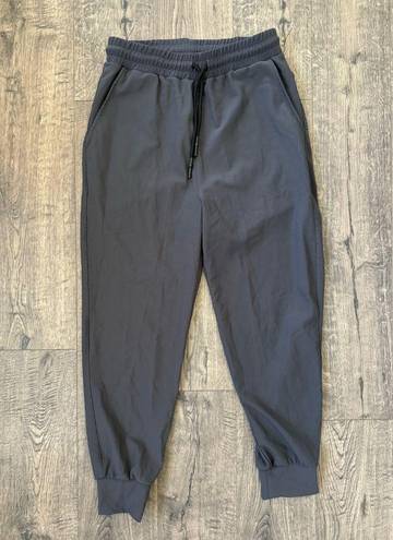 Zyia  Slate Edge Joggers