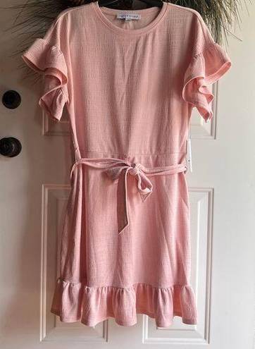 Emma & Michele  Pale Pink dress with Ruffled sleeves and  hem, Size Medium