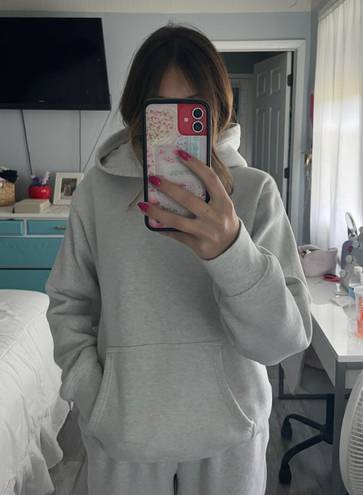 Aritzia Cozy Fleece Perfect Fit Hoodie