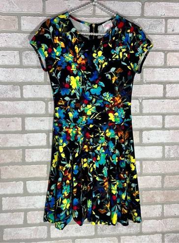 Parker  Bold Floral Print Short Sleeve Fit and Flare Dress Size S