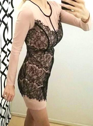 ANGL Lace Mesh Dress