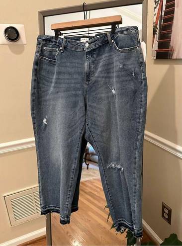 Wonderly  WOMEN'S High Rise Vintage Straight Jeans Size 20w NWT