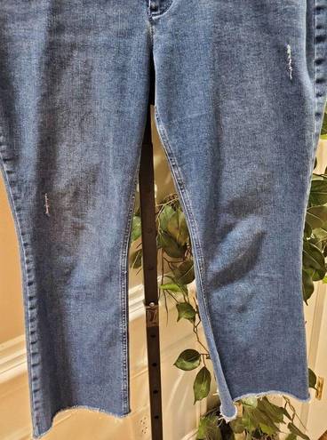 J.Jill  Denim Women's Blue Cotton High Rise Zippered Ankle Jeans Pant Size 10