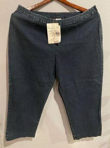 J.Jill Womens  Jeggings/Jeans-NEW Size 10P Authentic Wash Comfort Top Ret$48