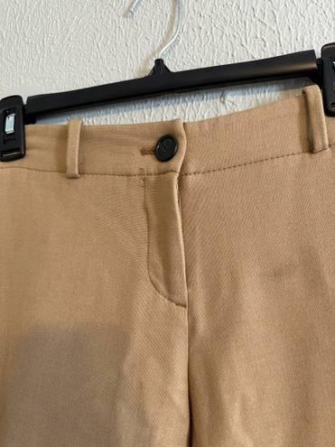 Loft Dress Pants