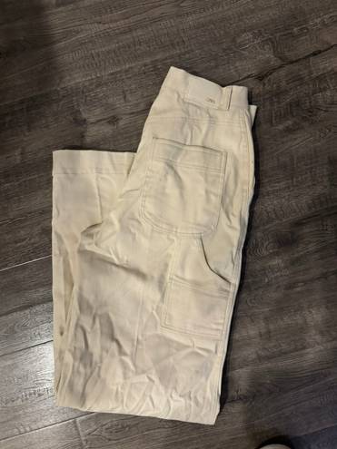 ZARA Pants