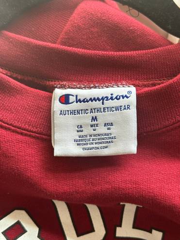 Champion University Of South Carolina  Crewneck-Medium