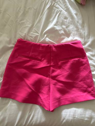 ZARA Pink Skort