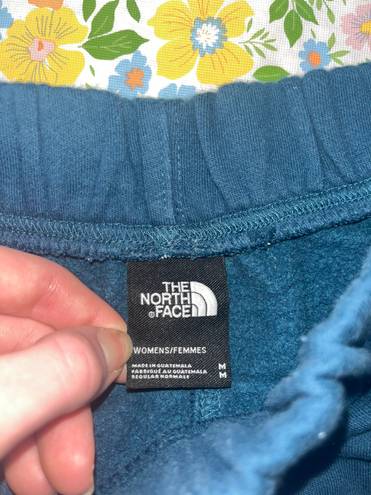 The North Face Shorts