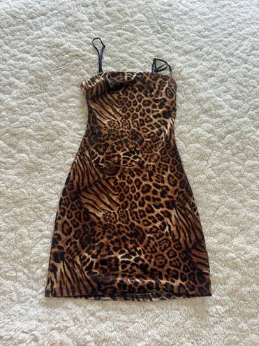 Tiger Mist Dress