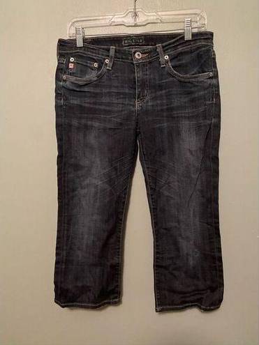 Big star  Jeans Sweet Crop Denim Blue Indigo Wash Whiskered Mid Rise 29