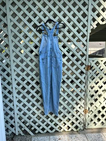 Free People Ziggy Denim Overalls