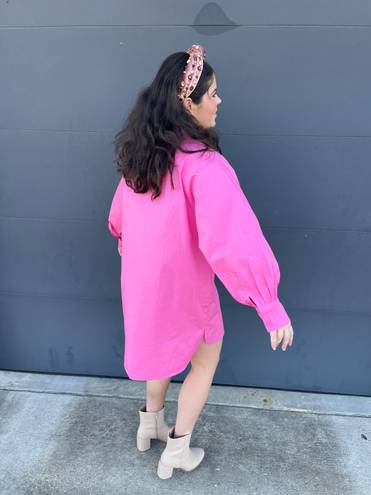 idem Ditto Long Sleeve Pink Button Down Dress