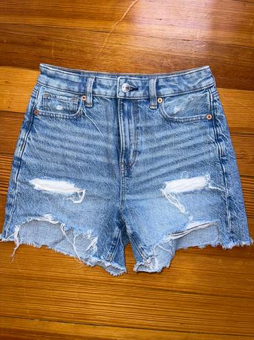 American Eagle Baggy Mom Shorts