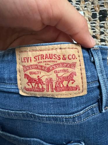 Levi’s Skirt