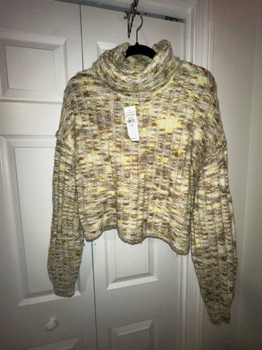 American Eagle Turtle Neck Sweater