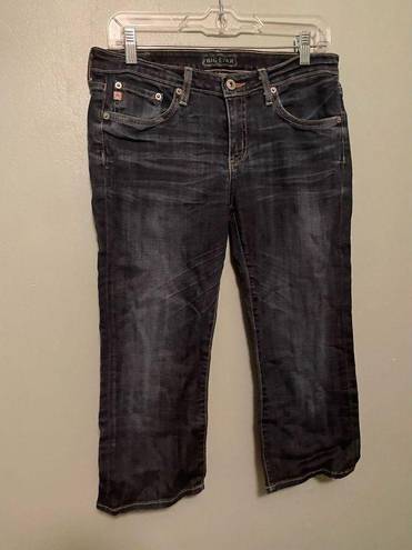 Big star  Jeans Sweet Crop Denim Blue Indigo Wash Whiskered Mid Rise 29