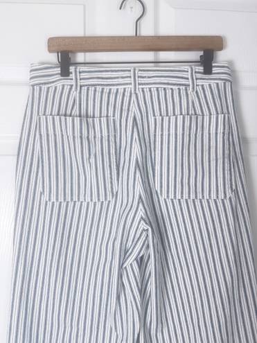 Madewell Emmett Wide Leg Crop Blue & White Striped Button Fly Pants Size 31