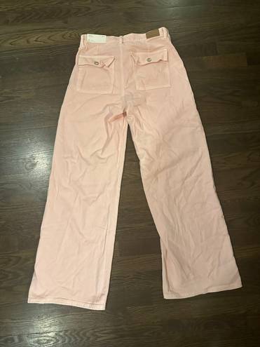 American Eagle Outfitters Baggy Wide Leg Pants