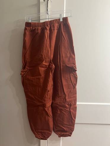 Wild Fable Burnt Orange Cargo Pants