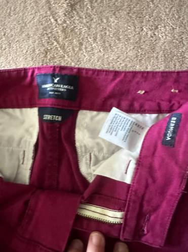 Bermuda Maroon Size 12  Shorts