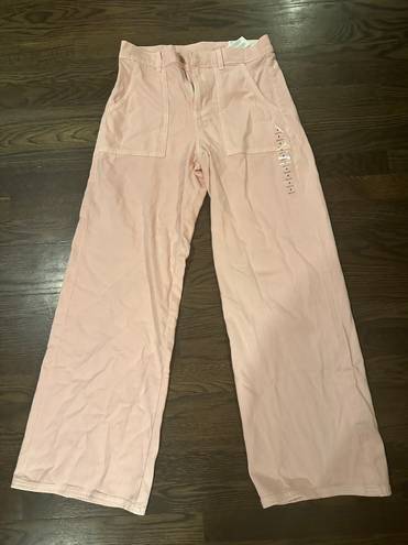 American Eagle Outfitters Baggy Wide Leg Pants