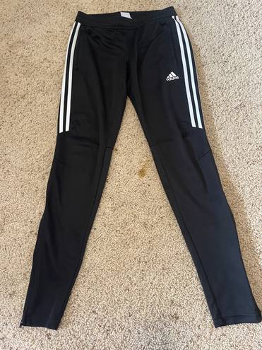 Adidas Pant