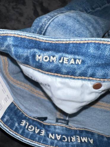 American Eagle Strigid Ripped Mom Jean