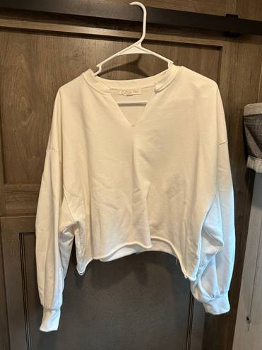 Lane 201 Cropped Sweater