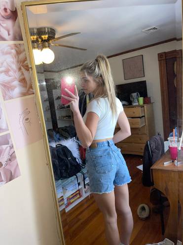 American Eagle Baggy Mom Shorts