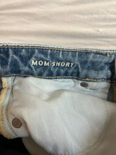 American Eagle Outfitters Mom Shorts